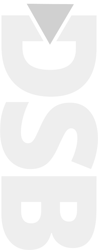 2607